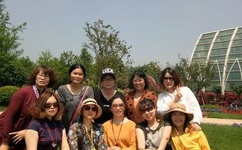 给我看一下你的森林